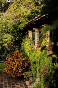 Hacienda Acamilpa - Image 4