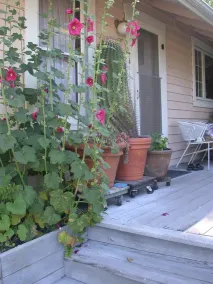 HOLLYHOCK COUNTRY HOUSE - BED AND BREAKFAST - ADULTS ONLY - Image 3