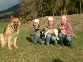 Urlaub auf dem Bauernhof Binterhof Alpin Deluxe APP - Image 3