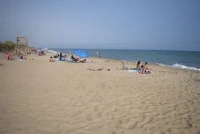 Coastal Contemparary in Katama / South Beach / Edgartown / Fahrradwege - Image 4