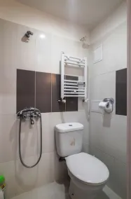 Lion's Bridge  Apartments - Image 3