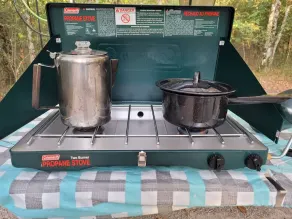Black Fox: A Woodland Glamp - Image 3