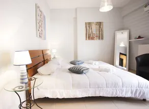 Elena & Pelagia Luxury Apartment - Image 5
