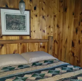 Morning Glory Cabin in Greer - Image 5