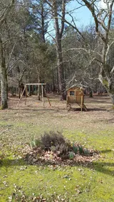Absolut lugn i ett typiskt Landes hus - Image 2