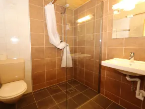 Geräumiges Ferienhaus mit Sauna und Bar - Image 4