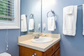 Luxury Black Bear Lodge: Stunning 4 Season Mountain Views! Perfect for Families. - Image 4