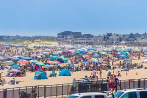 Beach House, Walking distance to downtown! - Image 5