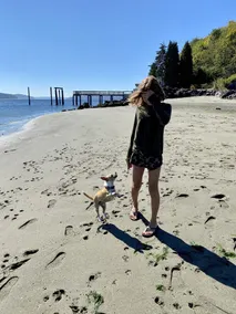 Puget Sound Beachfront Cabin * $ 179 / nt SOMMER PRISER SPECIAL * - Image 3