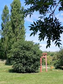 Gîte de la Lavande - Image 3