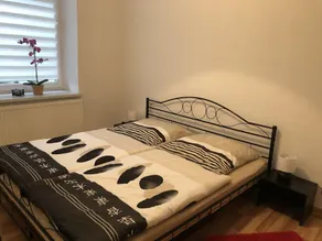 Ferienwohnung Riesa - Image 3