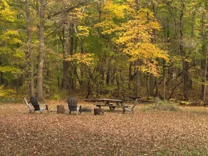 National Park Nature Retreat access to train to Chicago and 2 close to Beach - Image 5
