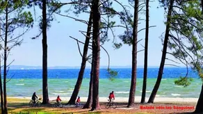 Ferie sæsonudlejning Arcachon bassin i Gujan-Mestras - Image 3