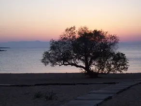 Offer in May: only EUR 59 per day. Everything is blooming, bathing weather, but not too hot! - Image 5