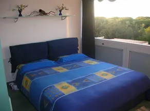 Apartament in apartament house near the sea surrounding by secular pinegroves - Image 3