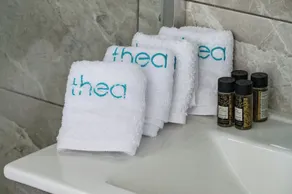 Thea Luxury residences - Image 4