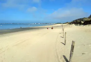Isola di Noirmoutier - Villa T4 sulla duna a 100 metri dalla spiaggia sabbiosa - Image 4