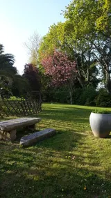 Maison idéale pour famille à 800 m de la côte piscine chauffée- jardin 600m2 - Image 5