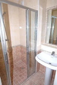 Royal Palm - Image 3