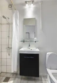 Dolphin Hotel Herning - Image 5