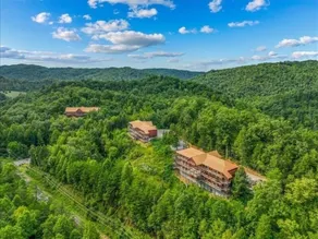 Greenbrier Estate 28 Bedroom Cabin by RedAwning - Image 3