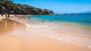 Bay Views, beautiful beaches and stunning bush walks in Bouddi National Park - Image 4