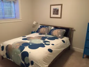 Brand New 2 Brdm Basement Suite - New House - Image 5