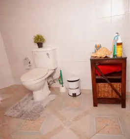 Sherry Homes Qwetu Studio - Image 2