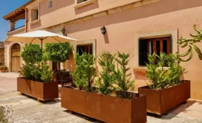 Ayurvila Wellness Retreat - Image 5