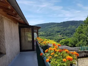 Tranquil cottage in Bourbonnaise Mountains, pets allowed - Image 5