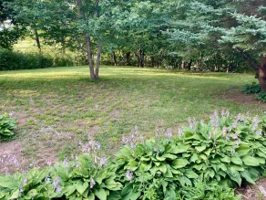 Whispering Birch Bed and Breakfast - Image 4