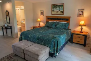 Notre île Kauai Gem - Image 5