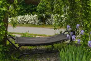 L'Acadie Room -Patio, Downtown - Image 4