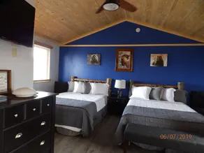 Denali Wildlife Grizzly Cabin Luxury avec une touche de rustique - Image 3