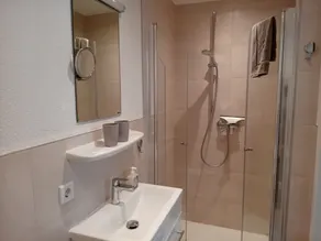 Agriturismo nella Valle del Salzbach – Grashüpfer Plus per un massimo di sei persone - Image 2