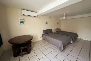 Cayo Vieques at Almendro Guest House - Image 4