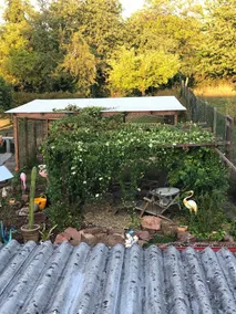 Ferienwohnung/app. für 5 Gäste mit 72m² in Vinningen - Image 5