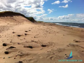 Condo| Waterfront Escape | Ocean Views | North Rustico - Image 4