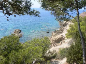 Villa Contemporaine , Piscine, Gazonnée Plantée D'oliviers , Plages 15' sud - Image 3