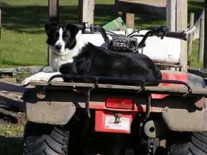 Breakaway Farmstay Victor Harbor - Image 2