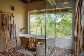 Thornybush Game Lodge - Image 4