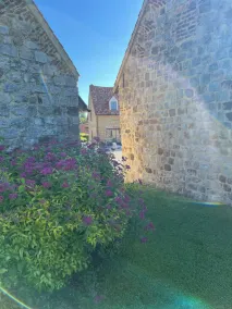 Haus mit Pool in der Domaine Du Vieux Chateau in Tingry an der Côte d'Opale - Image 2