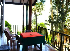 Hill Forest Cottage - Image 3