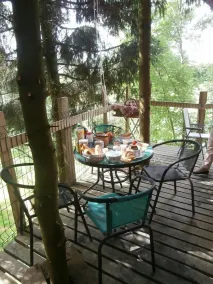 Cabane dans les Arbres - Tree House - Image 4