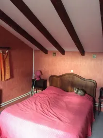 home drome - Image 3