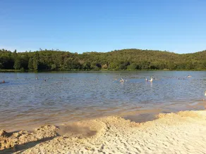 Maison meublé tourisme 1 étoile à 800 m de la rivière, proche de Sarlat. - Image 4