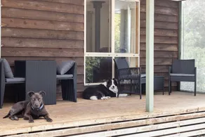 PET FRIENDLY COTTAGES - KELPIE COTTAGE - SELBSTHALTIGE COTTAGES - Image 4