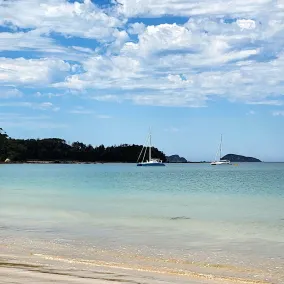 Chris's Shack at Maloneys Beach is the perfect getaway for your family. - Image 5