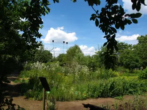 5 camere piccole - e una grande cucina per tutti - casa \"Lehmkloster\" nel giardino Wangeliner con 5 camere singole - Image 5