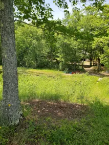 New unit near Nemadji State Forest and Duluth, Trails, Hiking, ATV, Snowmobile. - Image 4